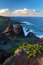 rugged coast.jpg